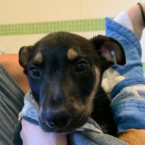 Meet your Posher, Ali